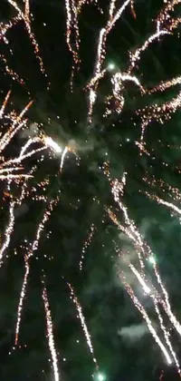 This phone live wallpaper features a dynamic fireworks show against the backdrop of a dark night sky