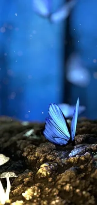 Nature Sky Leaf Live Wallpaper