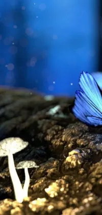This delightful phone live wallpaper showcases a mesmerizing blue butterfly resting serenely on a captivating mushroom amidst an alluring and magical forest floor