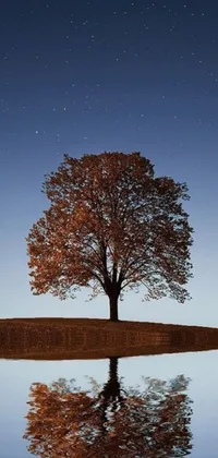 This phone live wallpaper showcases a solitary tree, reflecting on the still water beneath on a clear night
