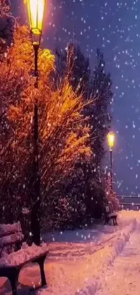 This realistic live wallpaper depicts a snow-covered park at night