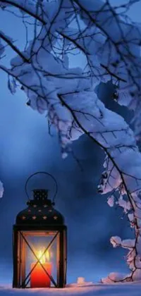 This phone live wallpaper showcases a beautiful lantern positioned in a snowy landscape while emitting a calming blue light