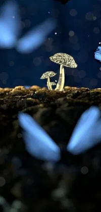 This live wallpaper showcases a group of blue butterflies flying around a beautifully detailed mushroom set against an otherworldly background