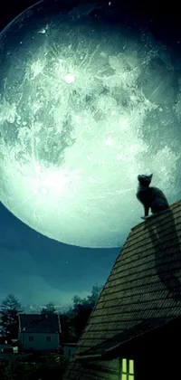 This phone live wallpaper showcases a delightful image of a monochrome cat perched atop a roof, observing a mesmerizing full moon in the night sky