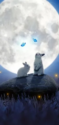 This live wallpaper showcases a delightful scene with two rabbits perched on a rock gazing at the full moon