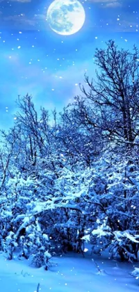 This live wallpaper features a peaceful and serene winter night scene with a full, bright moon in the sky