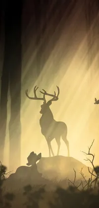 This beautiful live wallpaper features a majestic deer standing on a lush green forest with backlit fog and pine trees