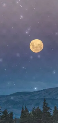Nature Sky Moon Live Wallpaper