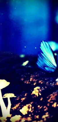 This live phone wallpaper features a stunning blue butterfly with bioluminescent skin