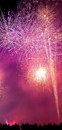 Bring dazzling fireworks displays to your phone's screen with this live wallpaper! Enjoy a stunning night sky backdrop with twinkling stars and a full moon