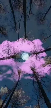 Get lost in a surreal forest with this pink cloud live wallpaper