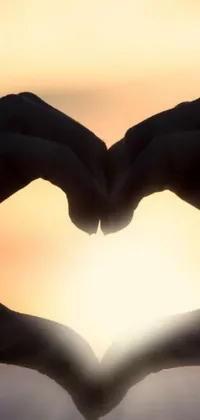 This live wallpaper showcases a heart made with hands at sunrise