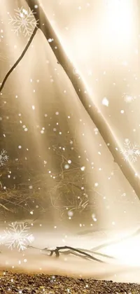 This live wallpaper showcases a beautiful bird perched on a snowy branch during a snowstorm