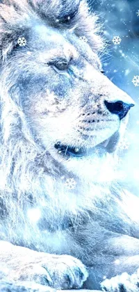 This phone live wallpaper features a majestic lion resting peacefully in the snow