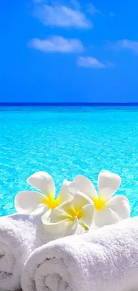 This calming phone live wallpaper features white towels, tropical flowers, and ocean waves against a golden sandy beach with swaying palm trees