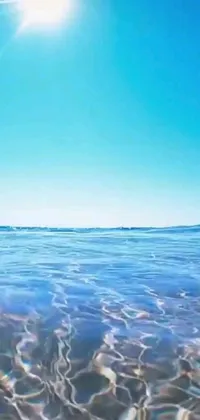 This stunning live wallpaper features a beautifully clear blue sky over crystal waters and a sandy beach