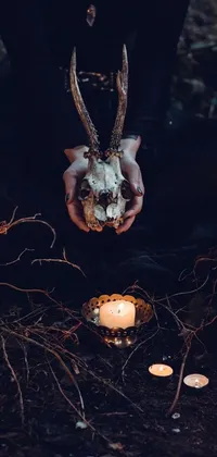 This live wallpaper features a digital art piece portraying the concept of vanitas with a person holding a skull in their hands