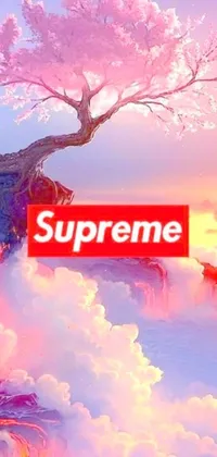 This phone live wallpaper shows a red Supreme box on a cliff overlooking a pink foggy landscape with cotton candy trees