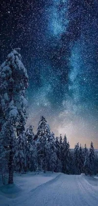 This live wallpaper showcases a serene winter night in a forest