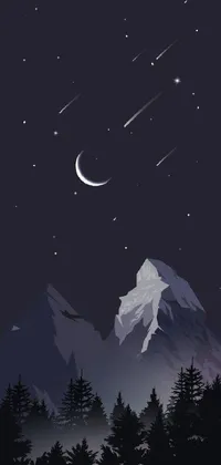 Looking for a stunning minimalist wallpaper for your phone? Check out this vector art night scene, featuring a majestic mountain and a clear night sky full of stars