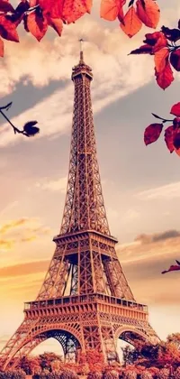 This live wallpaper for your phone offers a breathtaking view of the Eiffel Tower, captured from across the river