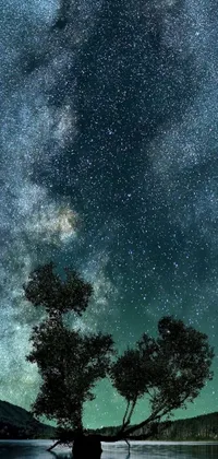 Enhance your device with an enchanting live wallpaper featuring a picturesque lakeside scenery amidst two towering trees