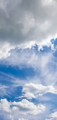 This phone live wallpaper shows a person flying a kite on a cloudy day
