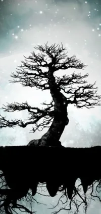 This phone live wallpaper features a breathtaking scene of a tree sitting atop a cliff under a full moon