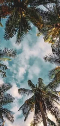 Experience the breathtaking beauty of a tropical paradise with this stunning phone live wallpaper