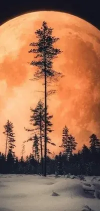 This dynamic live wallpaper showcases a stunning and surreal scene of a full moon casting an epic and fiery red-orange light through the trees of a serene Swedish forest