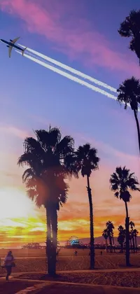 This live wallpaper features a stunning scene of a plane flying over palm trees at sunset in California