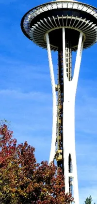 This phone live wallpaper showcases a tall tower with a clock on top, resembling the iconic Space Needle in Seattle
