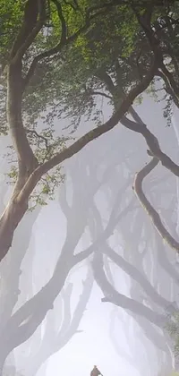 This stunning phone live wallpaper features a person standing in the middle of a road, surrounded by trees and intricate branches