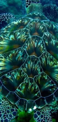 Transform your phone into an aquatic paradise with this invigorating live wallpaper