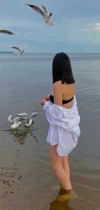 This phone live wallpaper portrays a scenic coastal view with a woman standing in the water and surrounded by seagulls