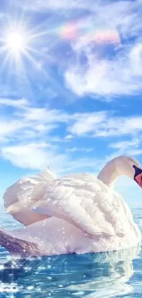 Looking to bring a peaceful and serene atmosphere to your phone? Check out our live wallpaper featuring a beautiful white swan floating gracefully atop a glistening body of water