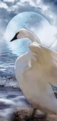 This phone live wallpaper showcases a white swan next to the ocean in a beautiful digital art piece by Shirley Teed