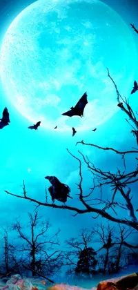 This phone live wallpaper depicts a hauntingly beautiful scene of bats flying against a mesmerizing full moon