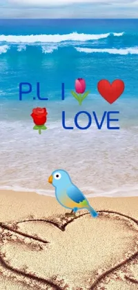 This live wallpaper depicts two birds resting on a sandy beach, with the ocean visible in the background