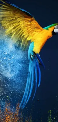 Upgrade your phone wallpaper with a new, captivating look: a colorful bird in motion