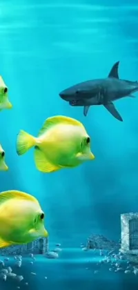 Decorate your phone screen with this mesmerizing live wallpaper featuring a group of fish swimming in a vibrant blue ocean