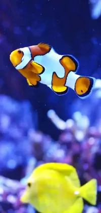 Transform your phone into a mesmerizing underwater landscape with this live wallpaper