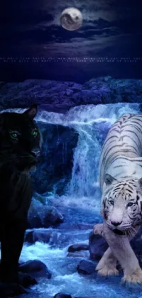 This phone live wallpaper showcases two stunning white tigers in a dark blue and black color scheme