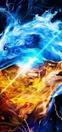 This live wallpaper features a high-detail image of a wolf with orange fire and blue ice design elements