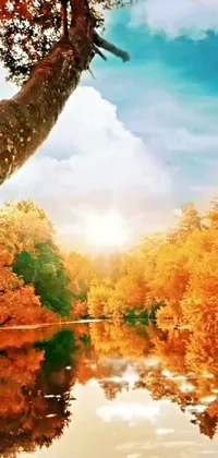 This stunning live wallpaper showcases a vibrant autumn forest with a beautiful tree standing next to a tranquil body of water