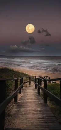 Get transported to a tranquil Australian beach with this wooden walkway live wallpaper