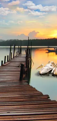 This phone live wallpaper features a serene lake with birds perched on a wooden pier
