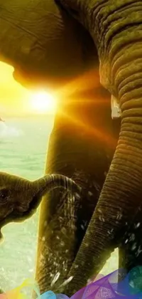Looking for an enchanting live wallpaper that will breathe life into your phone screen? Look no further than this incredibly detailed baby elephant and adult elephant duo! Perfectly with a bright sun shining in the background and beautiful sunflowers swaying in the foreground, this scene is guaranteed to put a smile on your face