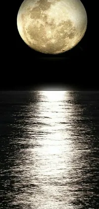 This live phone wallpaper features a captivating full moon rising over a reflective body of water