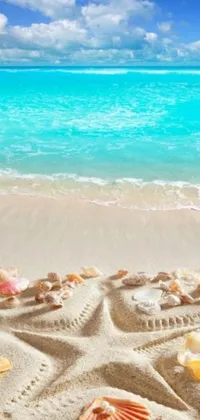 This phone live wallpaper features a stunning digital rendering of a Caribbean beach with turquoise waters, white sand, and colorful seashells and starfish